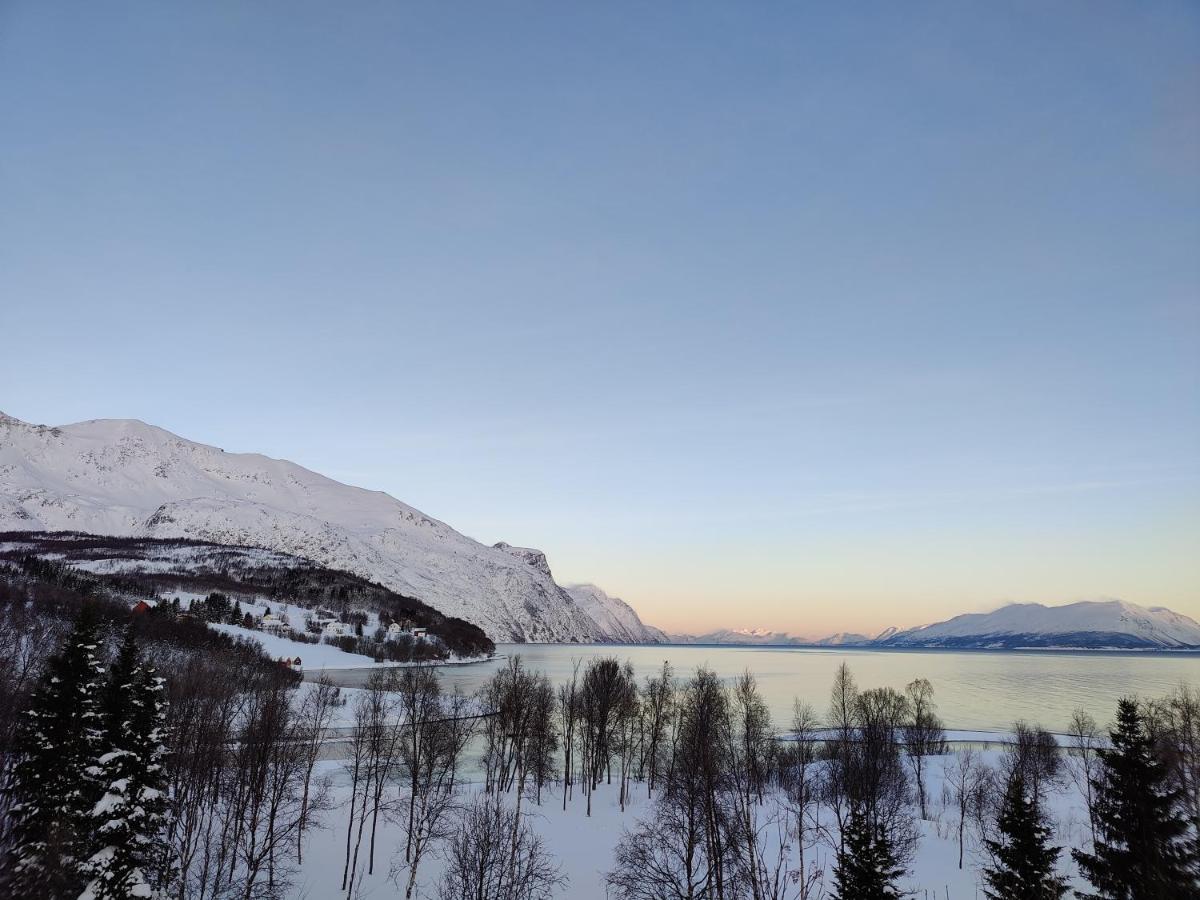 House In The Heart Of The Lyngen Alps With Best View Lyngseidet Dış mekan fotoğraf