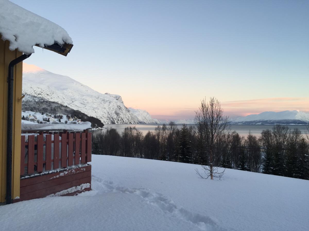 House In The Heart Of The Lyngen Alps With Best View Lyngseidet Dış mekan fotoğraf