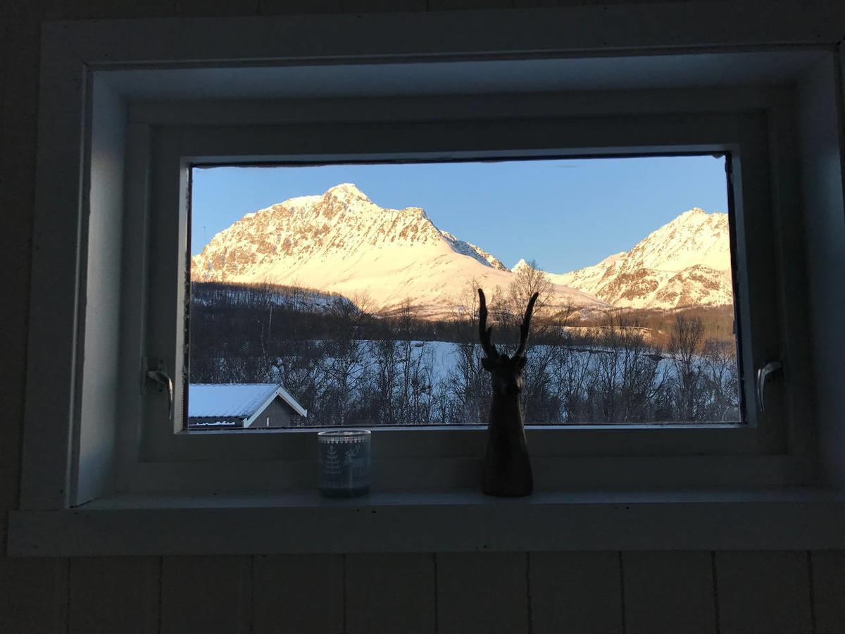 House In The Heart Of The Lyngen Alps With Best View Lyngseidet Dış mekan fotoğraf